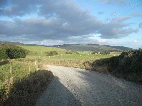 Catlins - mal wieder Schotterstraße, aber wunderschöne Gegend !