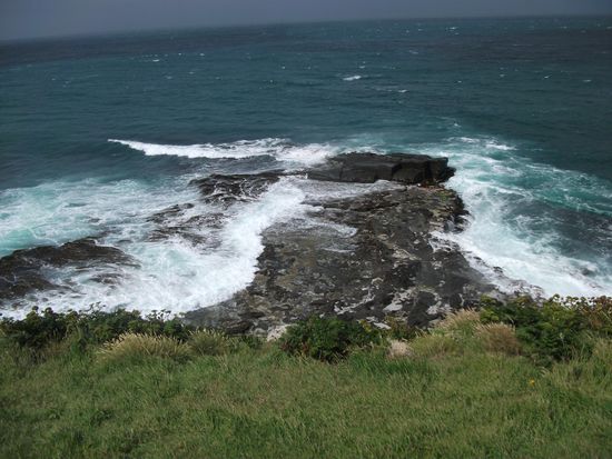 Curio-Bay, Klippenküste