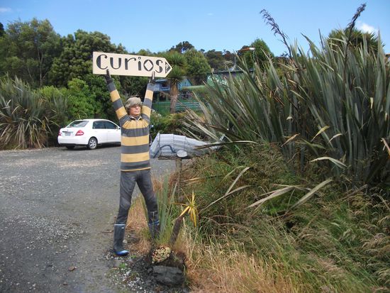 Papatowai: Curios-Cafe