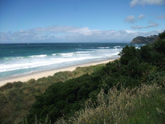 Dunedin - Strand