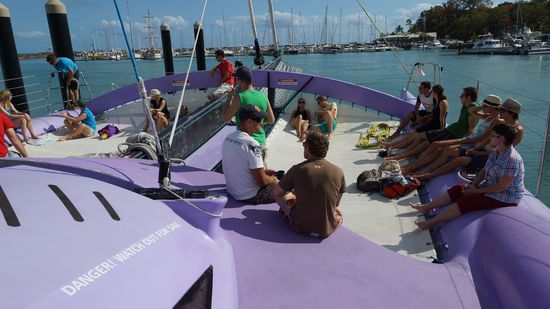 Arlie Beach Schnorchel-Tour mit dem Catamaran Camira.