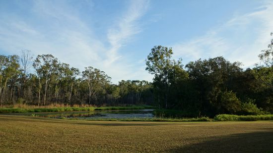 tandoori bot. Garten