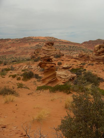 Wie ein Vogelhäuschen