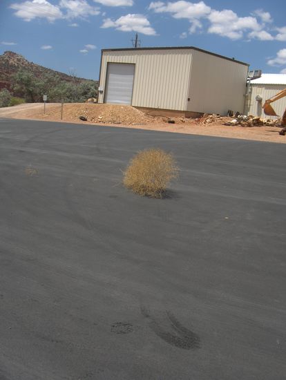 Wir sind im Wilden Westen 