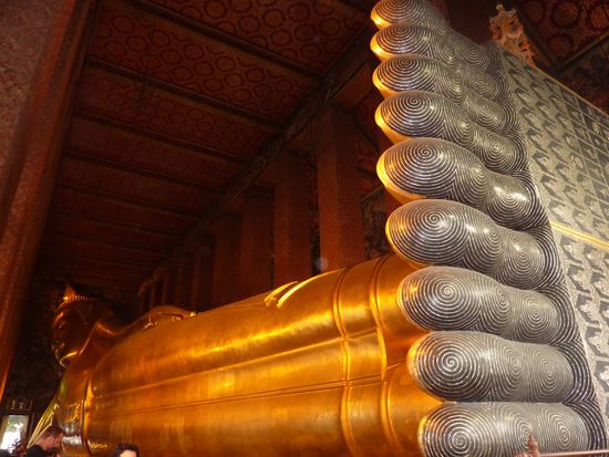 ... und 46 Meter lang!