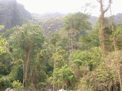 tolle Landschaft