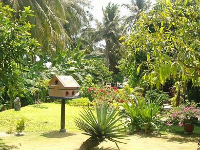 Unser wundervoller Garten, liebevoll gepflegt von drei Vietnamesen mit Wasserschlauch und Schere