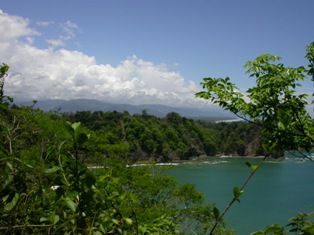 Blick von oben aus dem Park