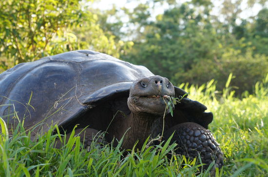 Man erkennt hier nicht wie gross die war...