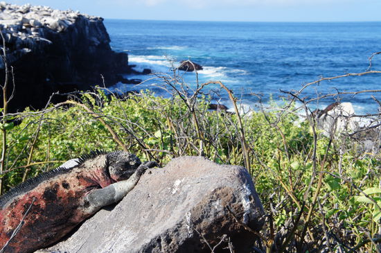 Diesen Ausblick haette ich auch gerne jeden Tag...