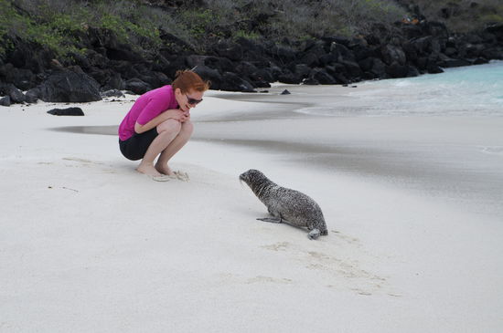 Einfach nur suess, wenn sie auf einen zulaufen bzw. robben 