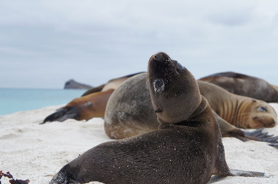 Das meist verwendete Wort an diesem Tag - so CUTE!! 