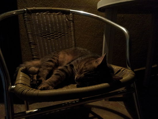 Auch nachts wurde ich erwartet... 