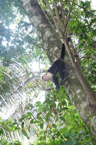 ... einer meiner Freunde....