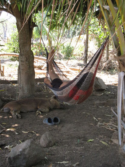 In Nicaragua liegt halt ned der Hund sondern das Schwein unter der Hängematte 