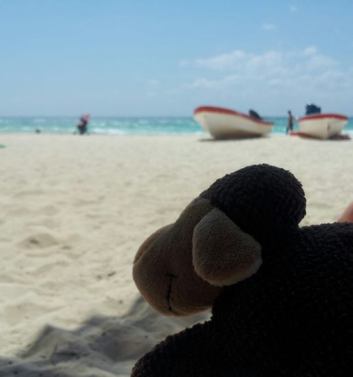 Mäh genießt den Strand