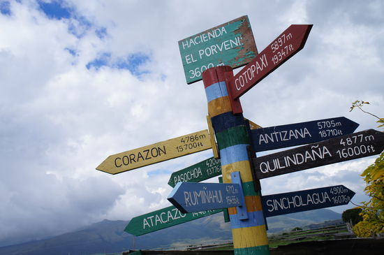 4.786 Meter zu wessen Herzen...? 