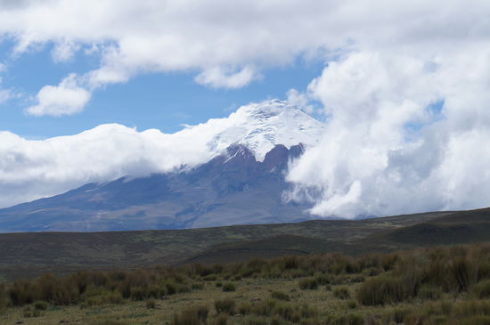 near Cotopaxi