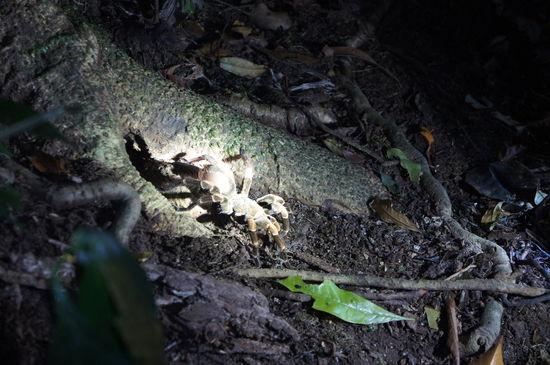 Macht mir am Bild mehr Angst als in natura... 