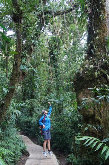 Fari versucht den Tarzan zu machen 