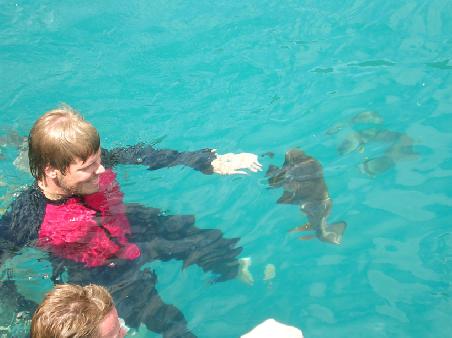 Fische fuettern