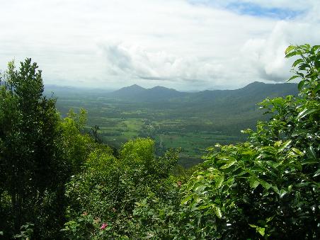 Eungella National Park