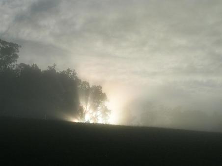Dawn