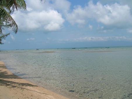 Klares Wasser mit 28 Grad - let's dive