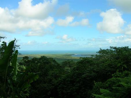 Cape Tribulation - Regenwald trifft Coral Sea