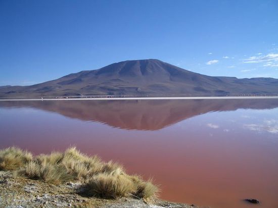 Laguna Colorada