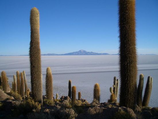 Blick von der Isla de Pescadores auf den Vulkan Tunupa