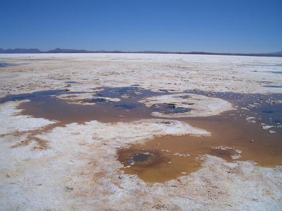 Ojos del Salar (Augen des Salzsees)