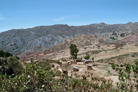 Auch diese Häuser gehören zu Uni