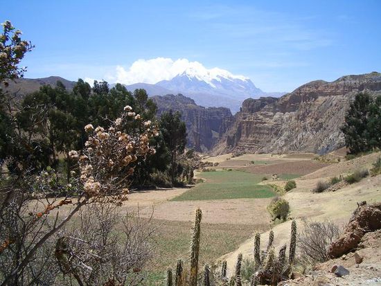 Nevado Illimani und Cañon de Palca