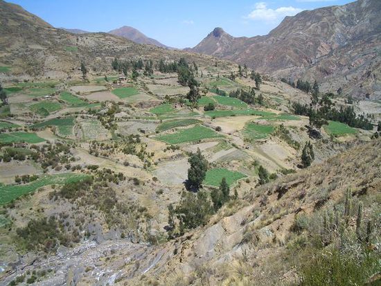 Landwirtschaft bei Palca