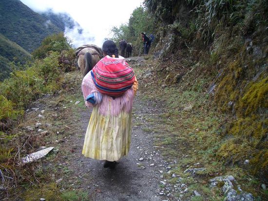 Unterwegs überholt uns eine Pferdekarawane