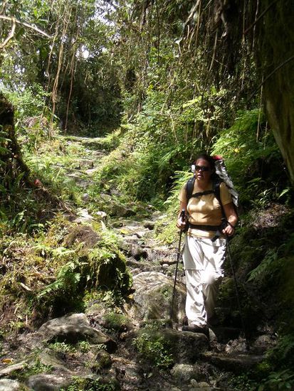 ... und der Weg geht bis Choro steil bergab. Ich bin froh über meine Stöcke!