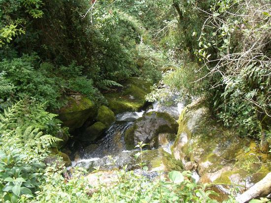 Einer der vielen Bäche ...