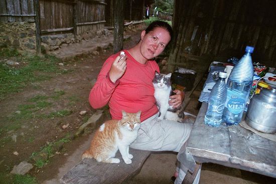 ... und die beiden Katzen!