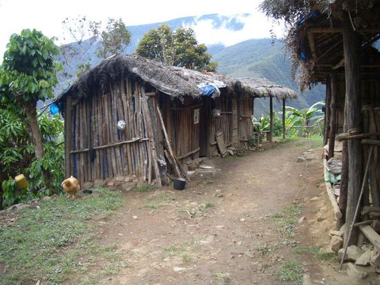 Genau so sieht das aus!