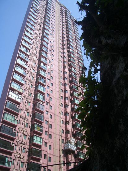 Scenic Rise Building