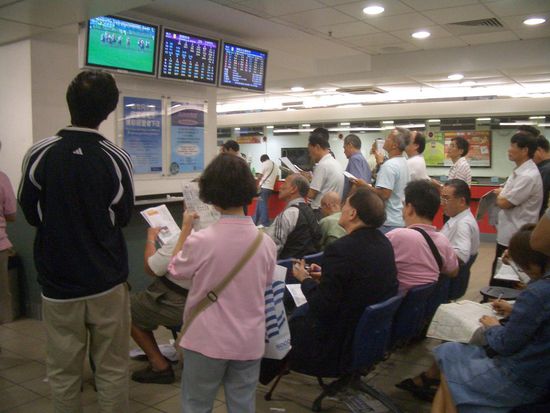 Ein Monitor mit Pferderennen und zwei Monitore mit Wettergebnisssen ... hier drinnen scheint es sowieso interessanter als draussen beim Rennen zu sein!