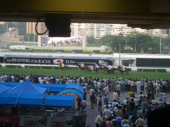 ... und Pferde gibts sogar auch!