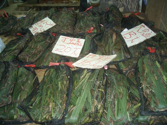 Vogelfutter ... oder auch Heuschrecken genannt!