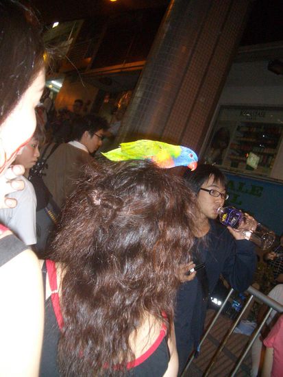 der Vogel auf dem Kopf war echt und diente als "Kostüm" ... der arme Vogel!