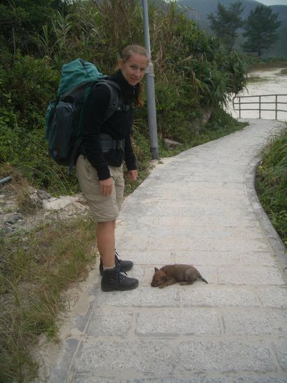 Der Welpe wich nicht mehr von unserer Seite ...