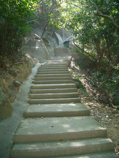 Wunderschöne Betonstufen ... selbst die Bäume wurden einbetoniert!