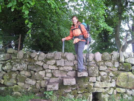 Die erste "Schafmauer" ...