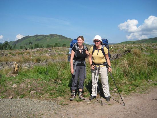 Abgeholzter Wald und hinter uns der Conic Hill