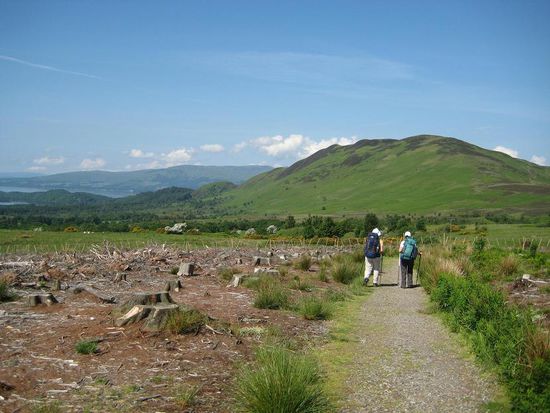 Der Weg zum Conic Hill ... links ist schon der Loch Lomond zu sehen